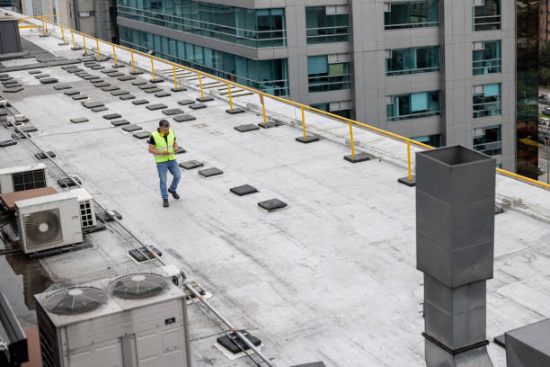Best Roof Insulation Installation  in Springfield, NE